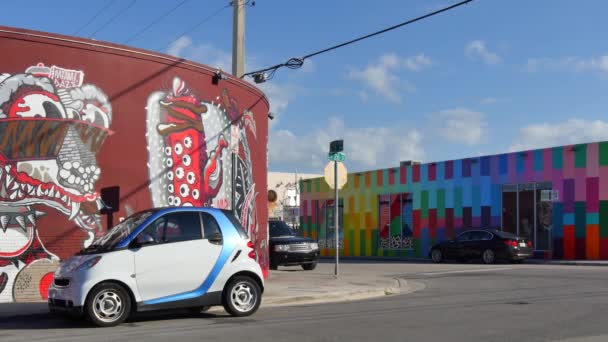 Art Walls at Wynwood Miami — Stock Video