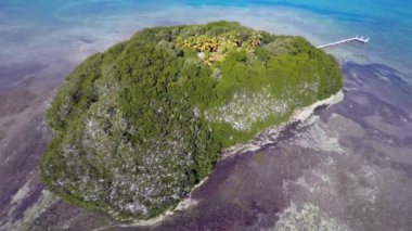 Florida Keys tropik suları