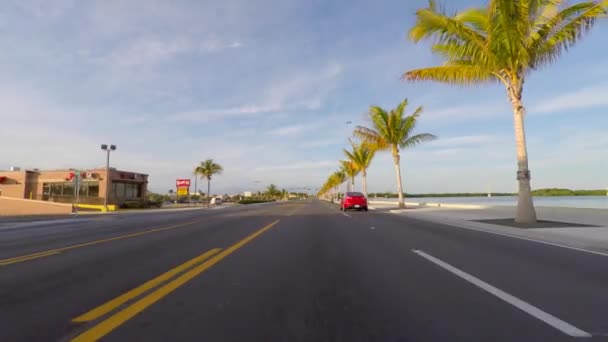 Sicht der Fahrer beim Fahren auf dem Roosevelt Boulevard — Stockvideo