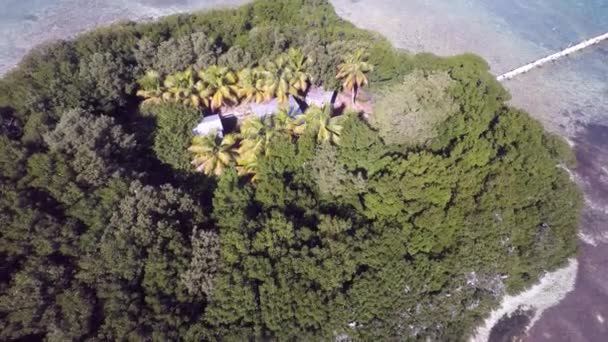 Tropické vody Florida Keys — Stock video