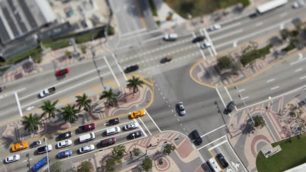 Biscayne Boulevard aerial tilt shift — Stock Video