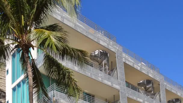 Miami Beach arkitektur och natur — Stockvideo