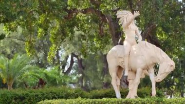 Hint bir at Miami Beach