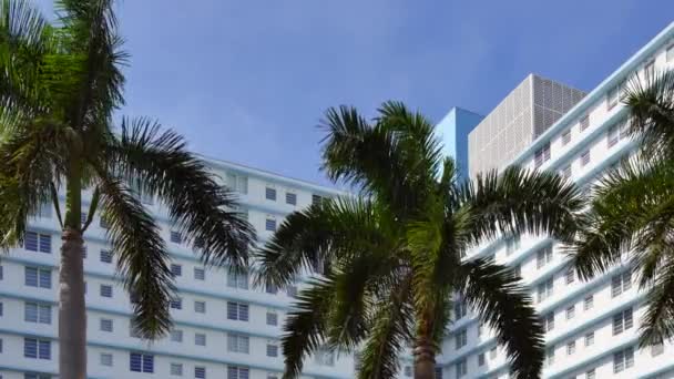 South Florida Miami architektura — Wideo stockowe