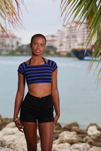 Mujer de moda posando en una escena tropical — Foto de Stock