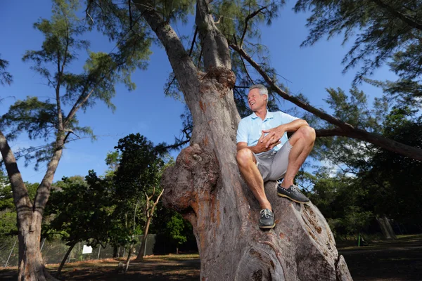 Homme âgé assis sur un arbre — Photo