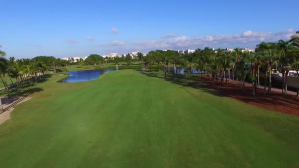 Bir golf sahası hava video — Stok video
