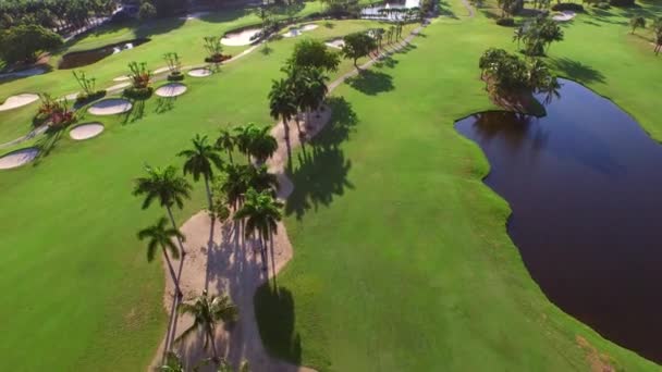 Vídeo aéreo de un campo de golf — Vídeo de stock