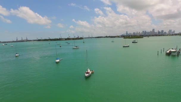 Yelkenli tekneler Miami Beach video — Stok video