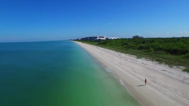 Video aereo A piedi nudi Beach FL e case di lusso — Video Stock