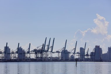 Port Miami vinç