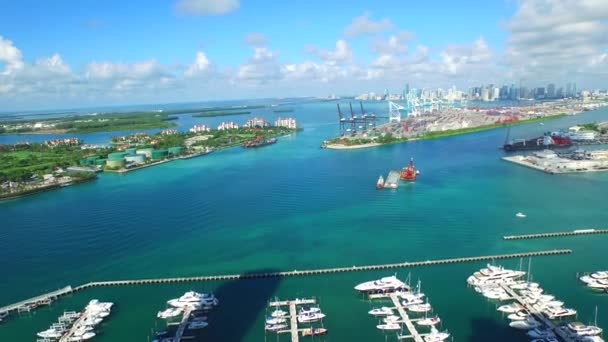 Miami Beach marina och Port Miami — Stockvideo