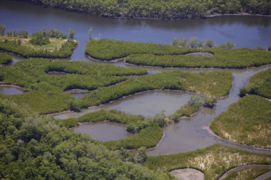 Florida Everglades görünümü