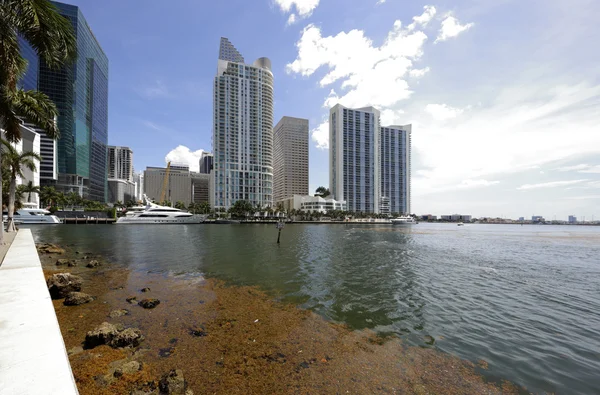 Downtown Miami en Brickell Bay — Stockfoto