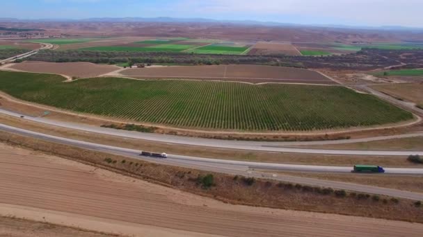 Fazenda de uva na Califórnia — Vídeo de Stock