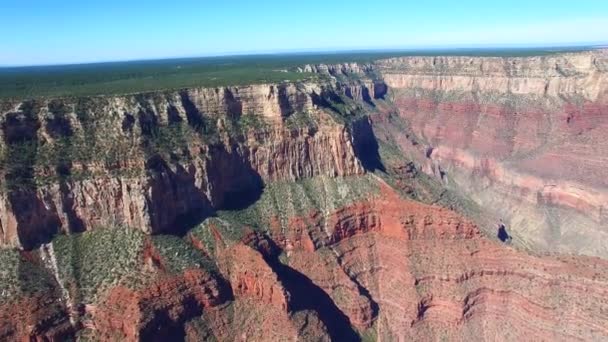 Vídeo aéreo Gran Cañón — Vídeo de stock