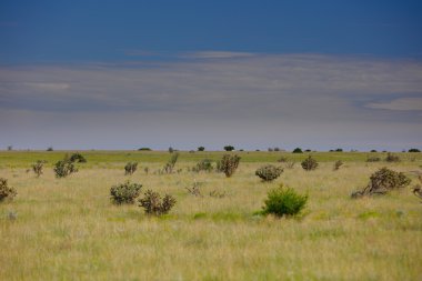 Doğa ile güzel bir gökyüzü