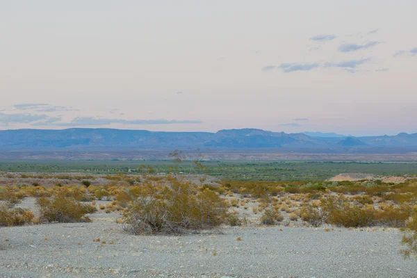 Вид на пустыню — стоковое фото