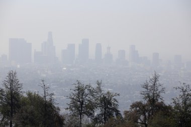 California Smog görünümü