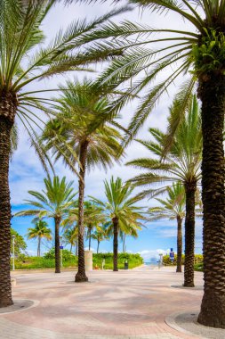 Miami Sahili sahil yolu boyunca yürüme yolu