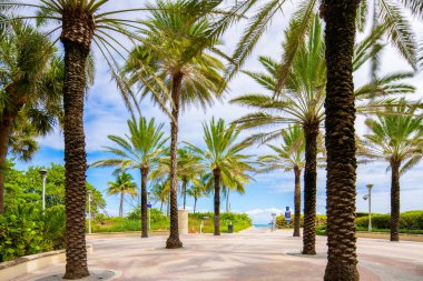 Miami Sahili sahil yolu boyunca yürüme yolu