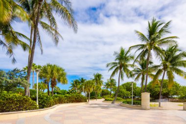 Miami Plajı Okyanus Yolu, sahil yolunda yaya geçidi.