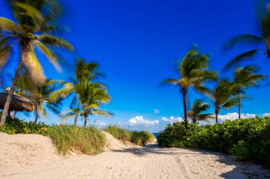 Pompano Plajı 2025 uzun pozlama resmi