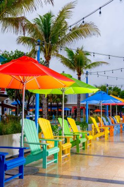 Florida kıyısındaki Lauderdale 'de canlı renkli plaj sandalyeleri