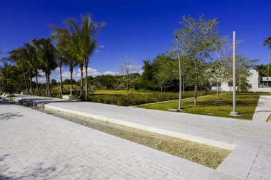 Miami Plajı 'ndaki Bayshore Parkı. Bulanık ağaçlara ve bulutlara uzun pozlama fotoğrafı