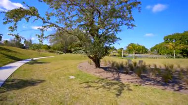 Miami Beach hisse senedi hareket görüntülerini 4k 60p olarak park ediyor.