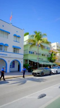 Miami Beach, FL, ABD - 21 Şubat 2026: Pelikan Okyanusu Sürüşü Miami Plajı dikey 4k video