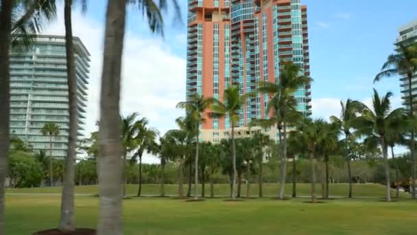 South pointe park miami beach — Stockvideo