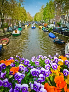 Amsterdam'da bir köprüde çiçekler