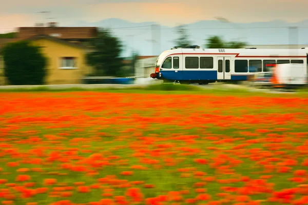 Train and poppies — Stock Photo, Image