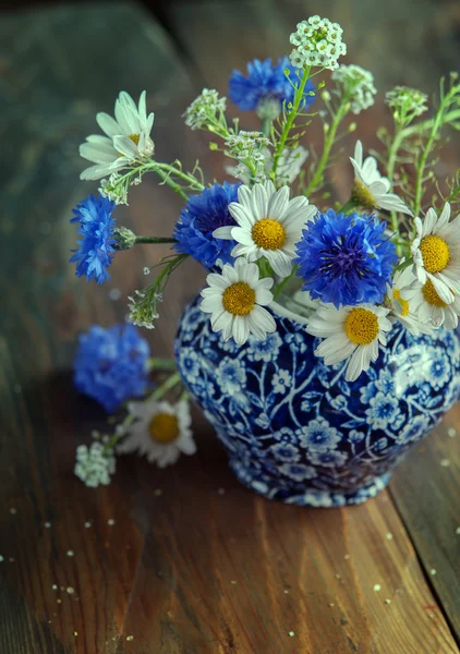 Camomile and cornflowers — Stock Photo, Image