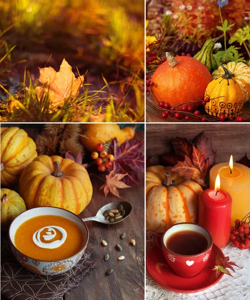 Autumn themed collage — Stock Photo, Image