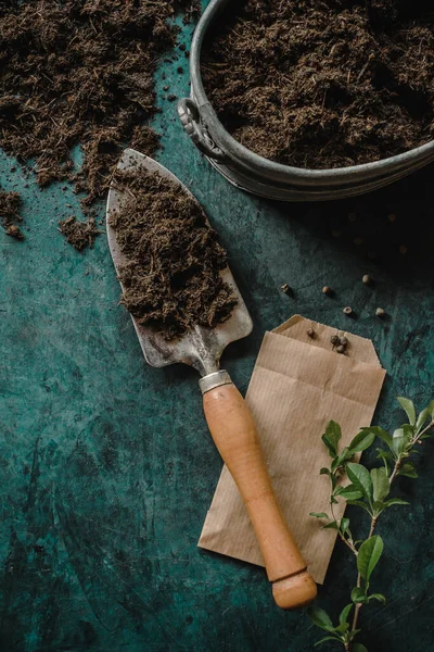 Jardinería Primavera Preparación Las Semillas Para Siembra Con Pala Tierra —  Fotos de Stock