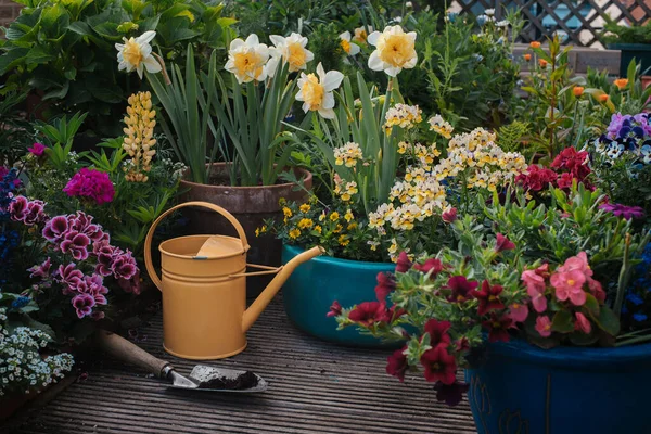 Attrezzi Giardinaggio Fiori Giardino Primavera — Foto Stock