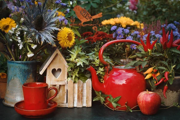 Bir Fincan Çay Çaydanlıkla Sonbahar Çiçekleri Bahçede Şükran Günü Dekoru — Stok fotoğraf