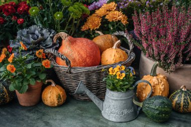 Bahçede Şükran Günü sonbahar dekoru