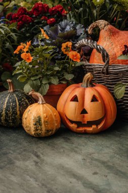 Cadılar Bayramı dekoru Bahçede balkabakları