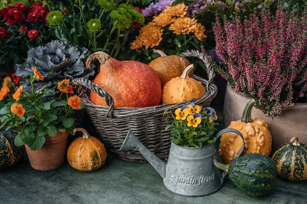 Bahçede Şükran Günü sonbahar dekoru