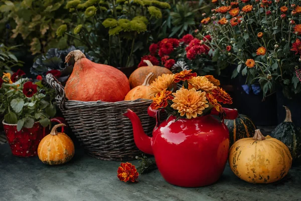 Thanksgiving Höst Inredning Trädgården — Stockfoto