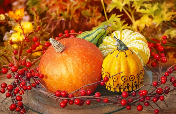 Thanksgiving decoration — Stock Photo, Image