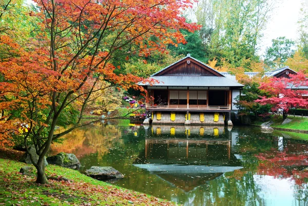 Japanischer Garten im Herbst — Stockfoto