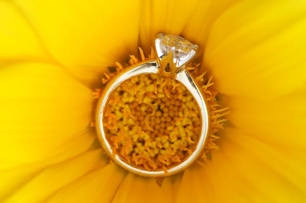 Pırlanta yüzük altın