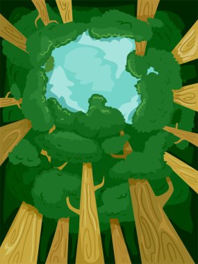 Orman ağaçları ile kurulan gölgelik