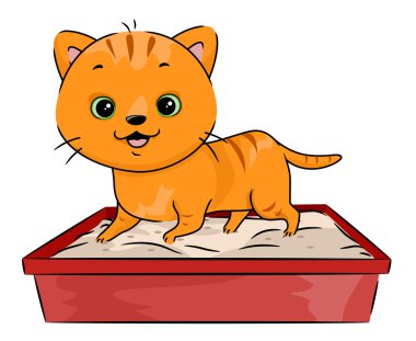 Kedi çöp kutu ile yürüyüş
