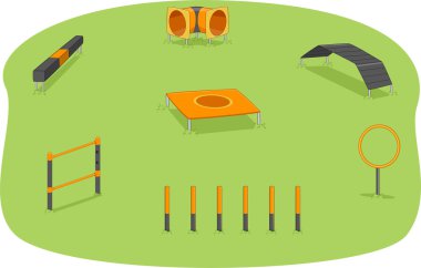 Köpek Park çeviklik testi