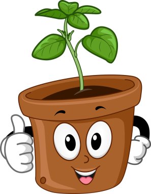 Saksı fesleğen maskot